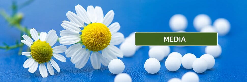 Medicine For Stress In Homeopathy Ahmedabad | homeopathic depression treatments In Paldi | dandruff homeopathic clinic In Ambawadi - Hemraj Homeo Clinic in ambawadi Ahmedabad